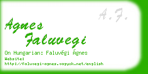 agnes faluvegi business card
